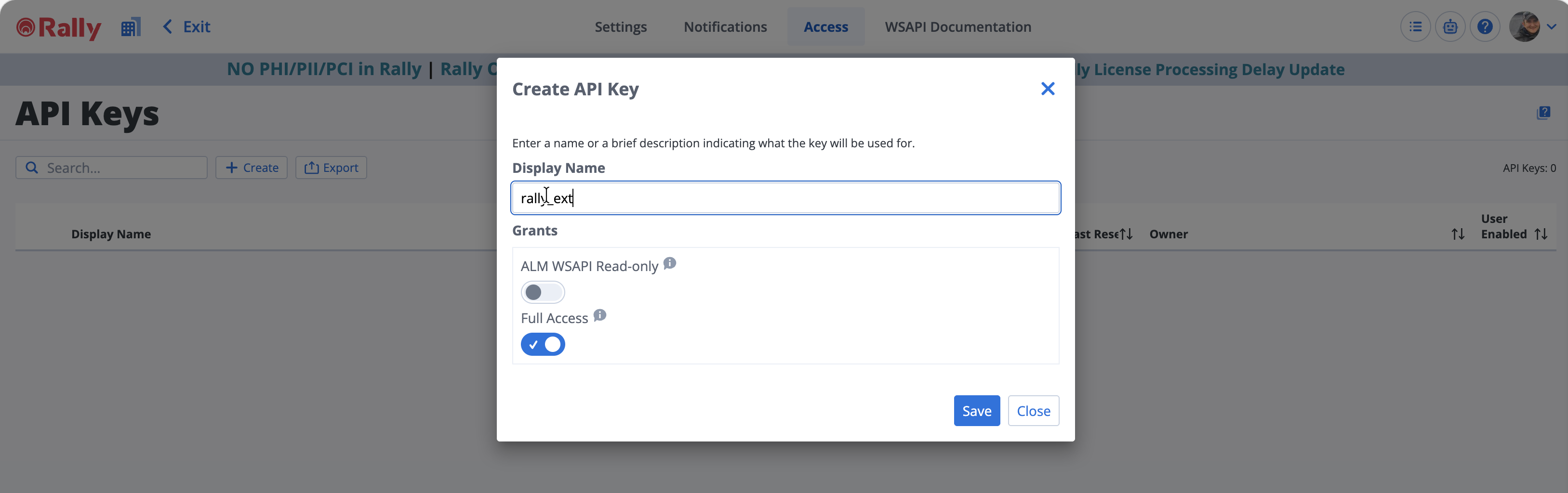 Rally Create API Key dialog showing display name and access grant options